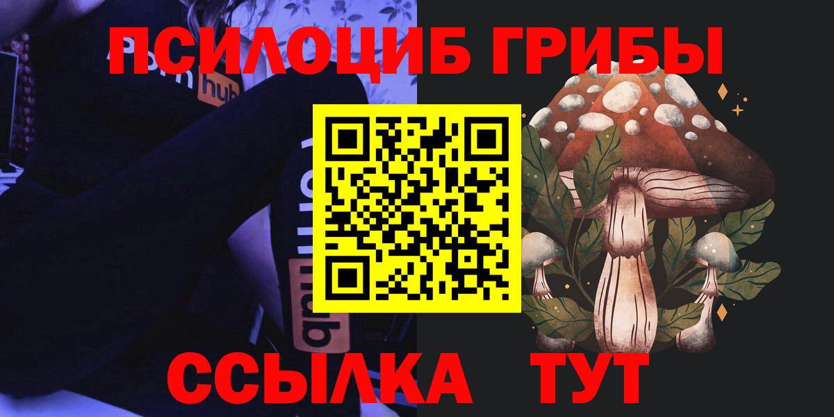 Псилоцибиновые грибы Cubensis Армавир